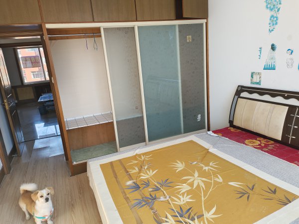三里河中學(xué)對面樓房出租