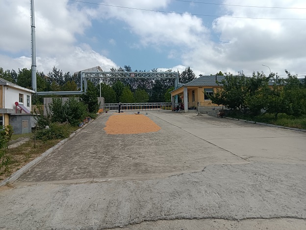 文登經(jīng)濟開發(fā)區(qū)虎山路廠房場地出租