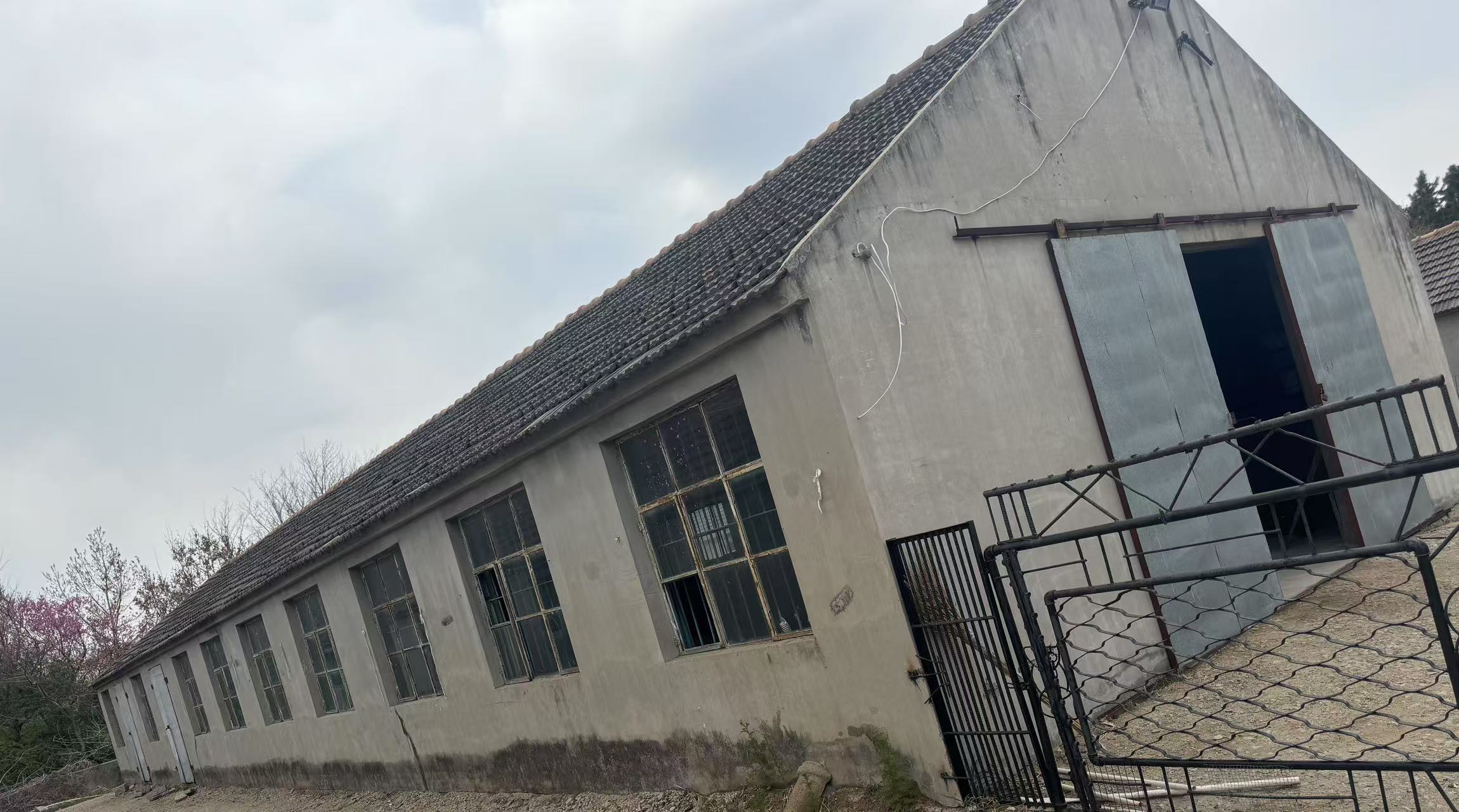 文登麥疃后倉庫出租