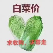 @@@白菜價(jià)！29.9萬(wàn)，萬(wàn)利城，3樓毛坯