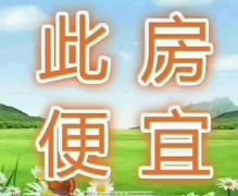 @@@33.8萬，金色年華，毛坯