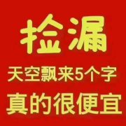 @@@9.8萬，泰浩華居車庫